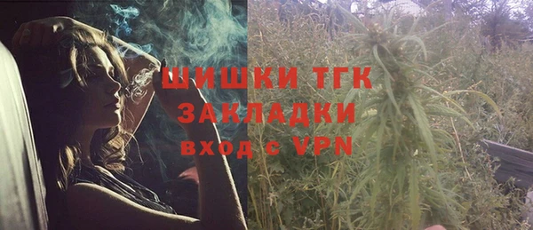 шишки Богородицк